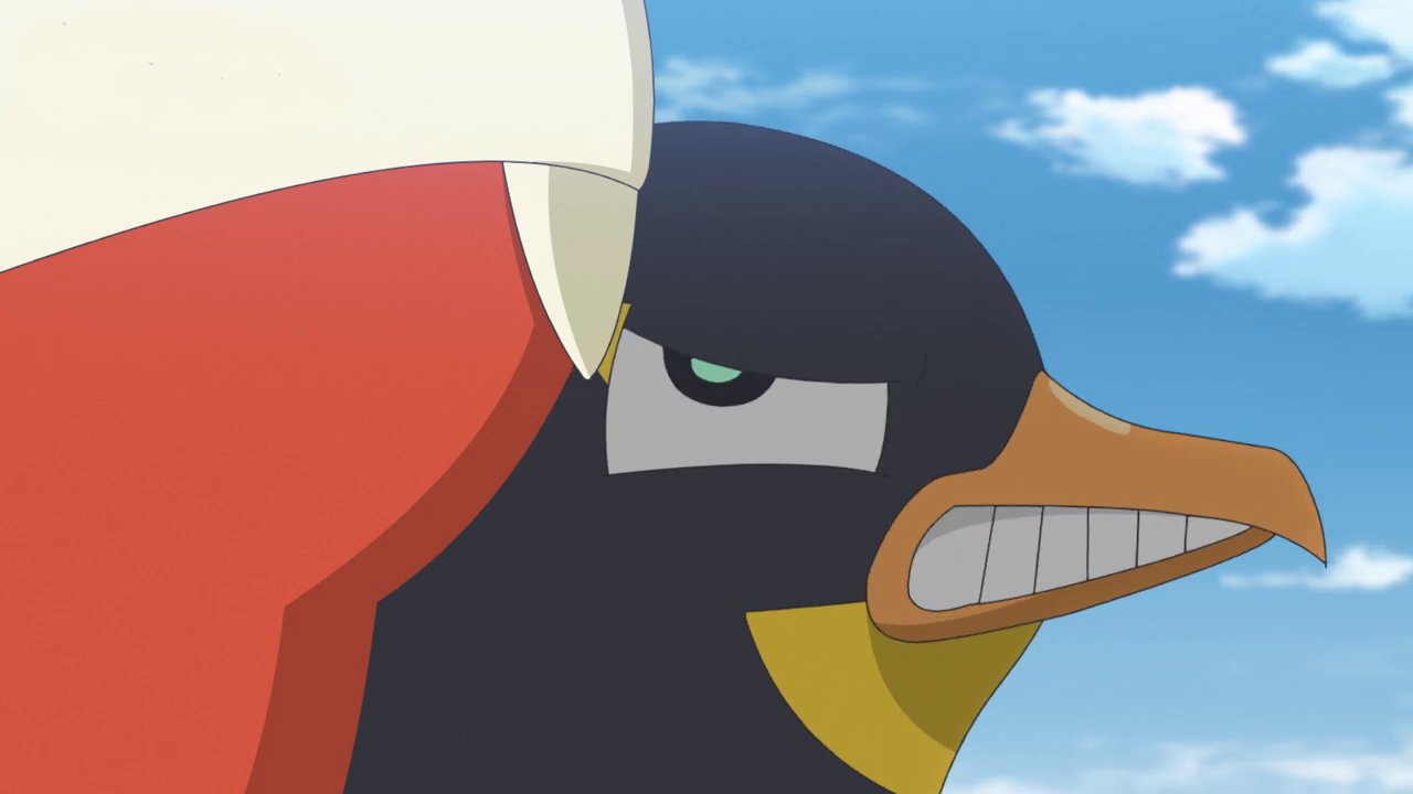 Special Training Time! - Pokémon Horizons