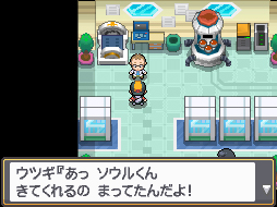 HeartGold SoulSilver Elms Laboratory