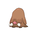 #221 Piloswine