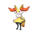 #654 Braixen