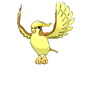 #018 Pidgeot Shiny