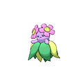 #182 Bellossom Shiny
