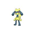 #447 Riolu Shiny