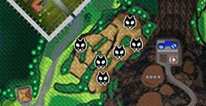 Caminando - Zona 17-4