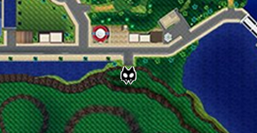 Caminando - Zona 31-2