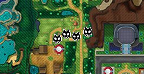 Caminando - Zona 60-1