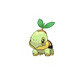 #387 Turtwig